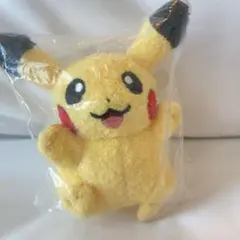 ポケモン　ぬいぐるみキーホルダー　ピカチュウ　韓国　ゴッホ　限定　海外 韓国限定】ポケモン30周年ピカチュウぬいぐるみキーホルダー - メルカリ ぬいぐるみ