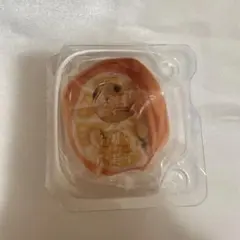 シルバニアファミリー　赤ちゃんフルーツパーティ2 トイプードルの赤ちゃん　マイロ