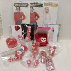 TWICEチェヨン　18点セット