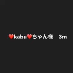 ♥️kabu♥️ちゃん様　リクエスト商品