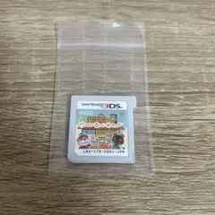 3DS どうぶつの森 ハッピーホームデザイナー
