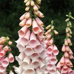 karu様 リクエスト 3点 まとめ商品