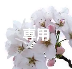 Item thumbnail for item f23a1904-e7a2-44df-88c2-2a1a8429cf80