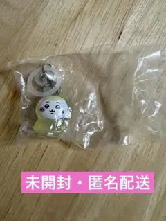 ちいかわ　めじるしアクセサリー2