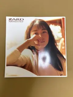 美品】ZARD ARTIST FILE 坂井泉水 写真集 - メルカリ