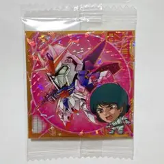 機動戦士ガンダム シールウエハース カミーユ・ビダン&Zガンダム(UR)