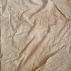 Item thumbnail for item c1977485-669a-4798-9754-3889e7f99428