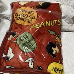 Item thumbnail for item 0936ba8b-cd54-4a4b-b664-29eba698e758