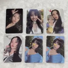 장미 판매 가능 TWICE 채영 트레카