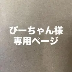 ぴーちゃん様専用ページです‼︎