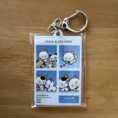 2026年最新】うちのタマ知りませんか キーホルダーの人気アイテム