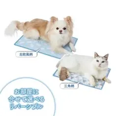 Item thumbnail for item 5b06db7f-d190-4da2-afd9-4ea16d0d5735