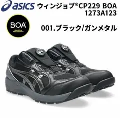 ウィンジョブ®CP209 BOA® LC 3E相当 26 - メルカリ