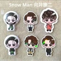 Snow Man 向井康二 すのぷくシール SERIOUS RAYS すのチル④