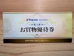 ヤマダ電機お買い物優待券