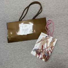 GUCCI coach ブラウンショップ袋