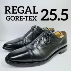 REGALリーガル GORE-TEX ゴアテックス ストレートチップW71B