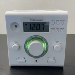 Item thumbnail for item f12881bd-e9b2-4422-969d-0172aab57889