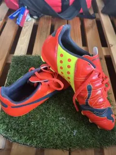 Item thumbnail for item 043f4e29-ea67-45db-8d09-151f3f6ceff7