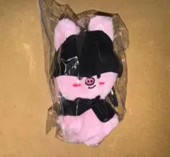 スキズ　do it ポップアップ　マグネット　キーリング　ぬいぐるみ　チャンビンのサムネイル