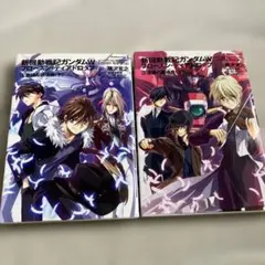 2026年最新】新機動戦記ガンダムw フローズンティアドロップの人気