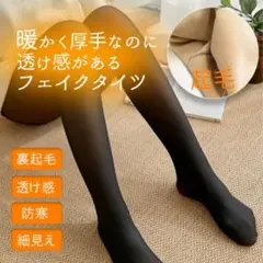 フェイクタイツ ブラック 裏起毛 透け感あり 寒さ対策 1200デニール
