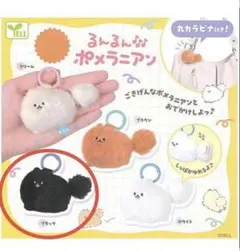 新品 るんるん♪ポメラニアン 블랙 가챠