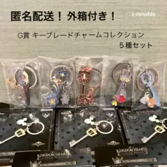 ５種セット Ｇ賞メタルチャーム キングダムハーツ 一番くじ 匿名配送　キンハ