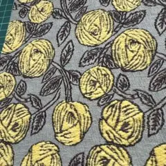 Item thumbnail for item 5cd0074a-495e-48ac-94d3-22350bc270ad