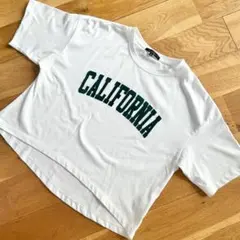 【しまむら】AQUAHISTORY ロゴTシャツ ホワイト M