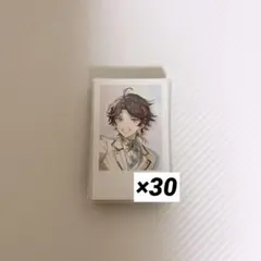 にじさんじ 三枝明那 チェキ 6周年 30枚