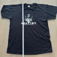 【貴重】椎名林檎　ビンテージTシャツ　下剋上エクスタシーツアー　M 貴重】椎名林檎 ビンテージTシャツ 下剋上エクスタシーツアー M - メルカリ
