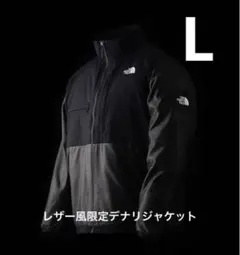 新品未使用レア限定品ーTHE NORTH FACE GTXデナリジャケットレザー