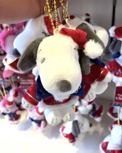 スヌーピー　クリスマスリースu0026小銭入れ　USJセット USJ（キャラクターグッズ）のフリマアイテム一覧