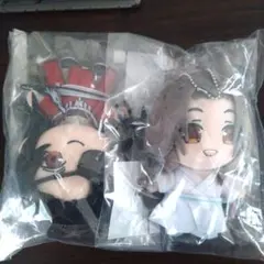 天官賜福 貮 ぬいぐるみ マスコット 花城 三郎 太子悦神 謝憐 - メルカリ