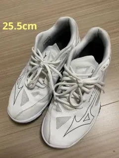 Mizuno バドミントンシューズ WAVE CLAW4 2E - メルカリ