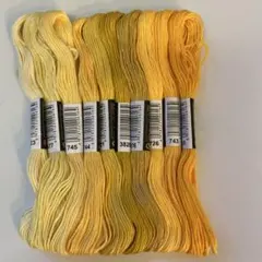 【C15】刺繍糸☆イエロー系10本