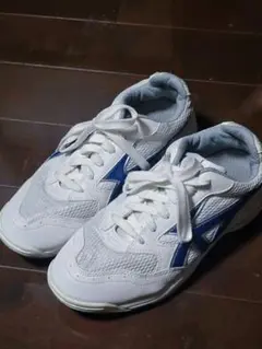 体育館シューズレディース