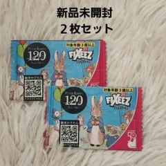 ⭐ 新品 ⭐ FIXEEZ ピーターラビット アイロンシール 非売品 ワッペン