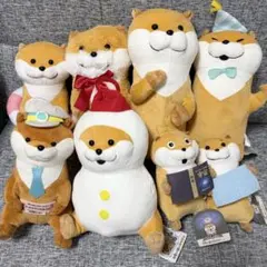 可愛い嘘のカワウソ ぬいぐるみ 8点セット