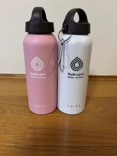 Item thumbnail for item 45b8f4cb-03d9-4914-9083-40fc1ede2eef