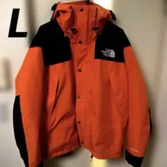 NORTH FACE 1990 MOUNTAIN JACKET GTX US L