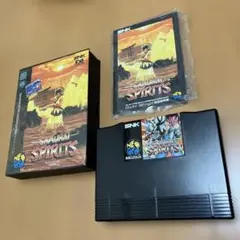 サムライスピリッツネオジオコレクション ストリートファイター30th