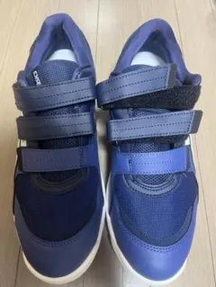 【未使用品】asics アシックス　安全靴　WINJOB CP205 24cm ASICS 限定生産カラー CP205 asics アシックス ウィンジョブ 安全靴