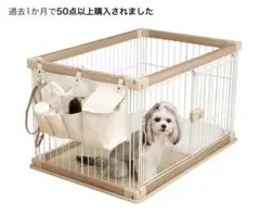 Item thumbnail for item e6842883-d009-41d3-ac13-626eb0afc6c3