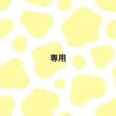 < 専用 >