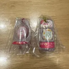 新品 おかしなたまごボーロっち3 めめっち フラワー