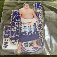大関稀勢の里 優勝記念額 - メルカリ