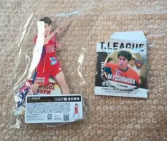 Tリーグ 缶バッジチャンスくじ 大藤咲月 アクスタ 缶バッジ等計2個