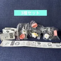 サンリオキャラクターズ みんなでなっちゃお! 歯 3種セット